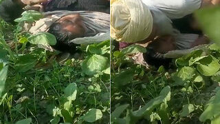 Desi Mature Cpl Fucking | Viral MMS Desi